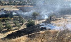 Hatay'da zeytinlik ve ormanlık alanda çıkan yangın kontrol altına alındı