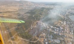 İzmir'in Aliağa ilçesinde çıkan orman yangını kontrol altına alındı