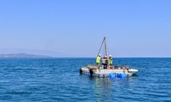 Ege Denizi'nde tsunami araştırması