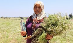 Kırsal turizmde kalkınmanın öncüsü olacaklar