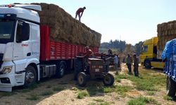 Kocaeli’den, Çanakkale’deki yangın mağduru çiftçilere destek