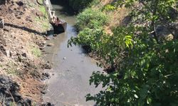 Manisa Kırkağaç'ta dere temizliği