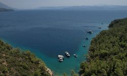 Muğla doğası için 174 dava açtı!