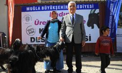 Muğla 'Kıl Keçisi' desteğini sürdürüyor