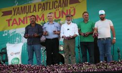 Yamula Patlıcanı Festivali 10 binleri ağırladı