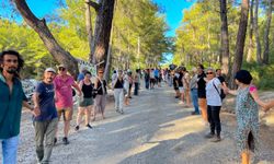 Akbelen için uzmanlardan uyarı: Ağaçlar kesilse de orman ölmedi