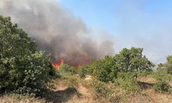 Çanakkale'de ağaçlık alanda yangın