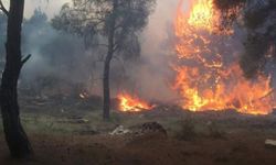 Çanakkale'deki orman yangınına 36 hava aracıyla müdahale ediliyor