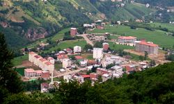 Trabzon'un Düzköy ilçesindeki bazı taşınmazlar 'acele kamulaştırılıyor'