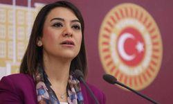 CHP'li Taşcıer'den Çalışma Meclisi toplantısına ilişkin açıklama