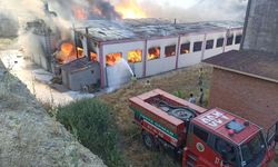 Kastamonu'da kapı fabrikasındaki yangını ekipler kontrol altına aldı