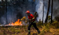 Orman yangınlarına önlem olacak projelerin ihaleleri ‘tasarruf’ gerekçesiyle iptal edilmiş