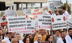 Veteriner hekimler iş bırakıyor: Toplumda anlaşılmadık, Sağlıkta Şiddet Yasası kapsamına alınmak istiyoruz