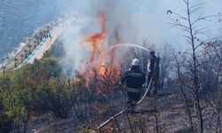 Kocaeli'de makilik alanda çıkan yangın söndürüldü