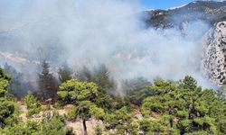 Antalya'nın Kaş ilçesinde çıkan orman yangını söndürüldü