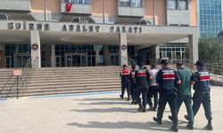 Edirne'de 481 düzensiz göçmen yakalandı, 11 kişi gözaltında