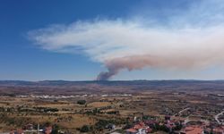 Bolu'da ormanlık alanda çıkan yangına müdahale ediliyor