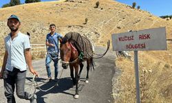 Adıyaman'da kuduz alarmı: Bir köy karantinaya alındı