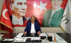 Ahmet Türk kimdir?