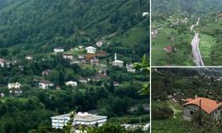 Artvin'de üç köy, kuduz yüzünden altı aylığına karantinaya alındı