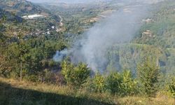 Bahçesindeki otları ateşe verince zehirlendi