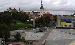 Estonya: Ukrayna'ya verilen silahlara yönelik 'sınırlandırma' kaldırılsın