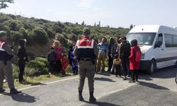 Van'da göçmen kaçakçılığı operasyonları: 14 zanlı tutuklandı