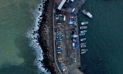 Karadeniz'in suyu soğumadı: Avcılık için uygun ortam oluşmadı