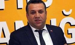 Mehmet Kurt kimdir?