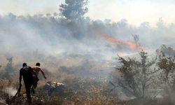 Muğla'daki orman yangını söndürüldü