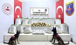 Diyarbakır’da 637 kilo esrar ele geçirildi