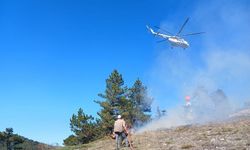 Kütahya'da orman yangını; 1 hektar alan zarar gördü