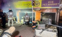 Maltepe'de petshopta yangın çıktı: Muhabbet kuşları öldü
