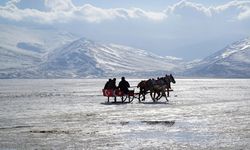 Ardahan ilçeleri nelerdir? Ardahan'da kaç ilçe var? Ardahan belediye başkanları kim? Ardahan ilçeleri hangi partide?