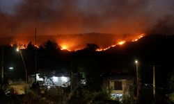 Arjantin'in orta kesiminde etkili olan orman yangını yerleşim alanlarına sıçradı