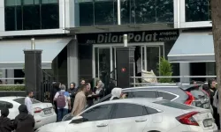 Dilan Polat'a ait 15 şirkette arama