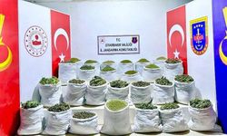 Diyarbakır'da 1 ton 640 kilogram esrar ele geçirildi