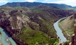 Siirt ilçeleri nelerdir? Siirt'te kaç ilçe var? Siirt belediye başkanları kim? Siirt ilçeleri hangi partide?