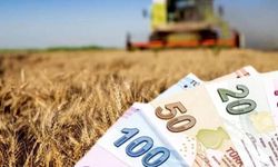 Çiftçilere 295,5 milyon liralık tarımsal destek ödemesi bugün yapılacak