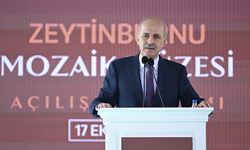 TBMM Başkanı Kurtulmuş: Filistin'le İsrail arasında devam eden bu çatışma tesadüfi bir süreç değildir