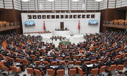 Elips Haber duyurmuştu, CHP’li Demir ‘Sekretere makam aracı' haberini Meclis’e taşıdı