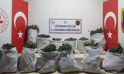 Diyarbakır'da 240 kilogram esrar ele geçirildi