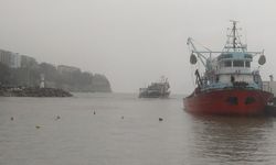 Düzce'de balıkçılara rüzgar engeli