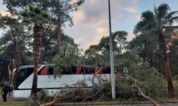 Antalya'da servis otobüsünün üstüne ağaç devrildi 7 kişi yaralandı