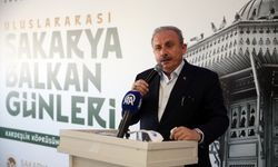 Eski TBMM Başkanı Mustafa Şentop, Sakarya'da Balkan Buluşması'na katıldı