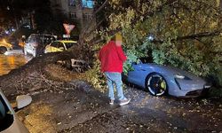 Ankara'da kuvvetli rüzgarda devrilen ağaç, otomobilin üzerine düştü
