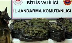 Bitlis’te 10 kilo 200 gram skunk ele geçirildi