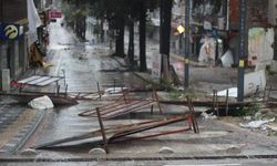 Sakarya'da fırtına: Ağaçlar devrildi, çatılar uçtu