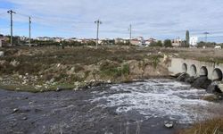 Tekirdağ'da çevreyi kirleten tesislere 50 milyon lira ceza