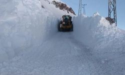 Yüksekova'da 7 kilometrelik yol, 4 metrelik kardan temizlendi